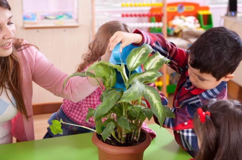 Little girl is watering flower.